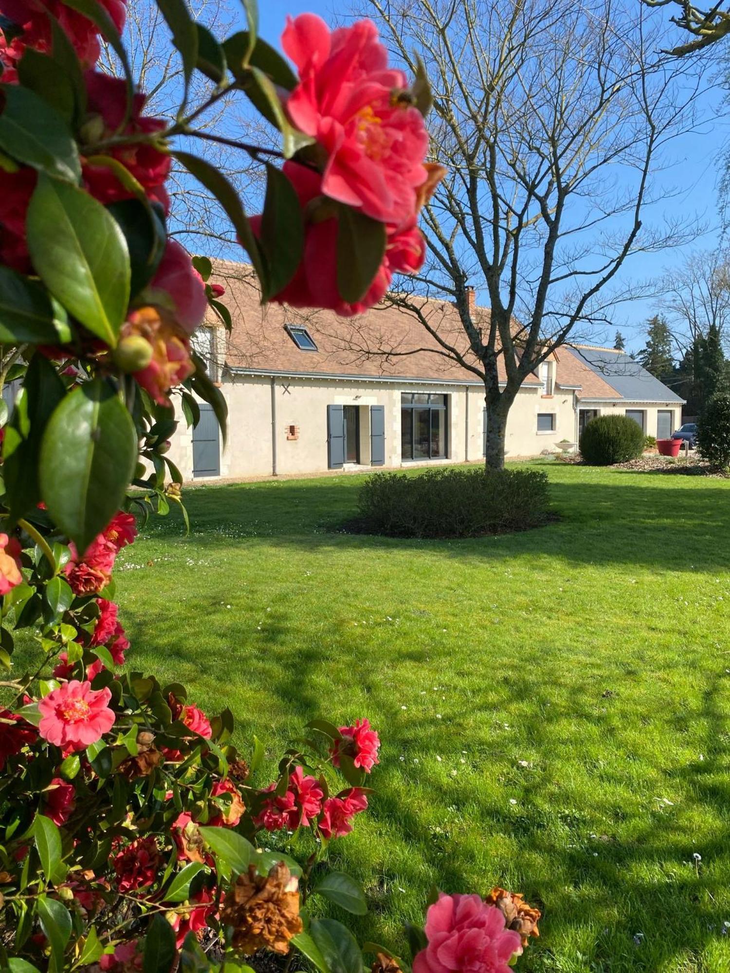 Au Ginkgo Bed & Breakfast Chaumont-sur-Loire Luaran gambar